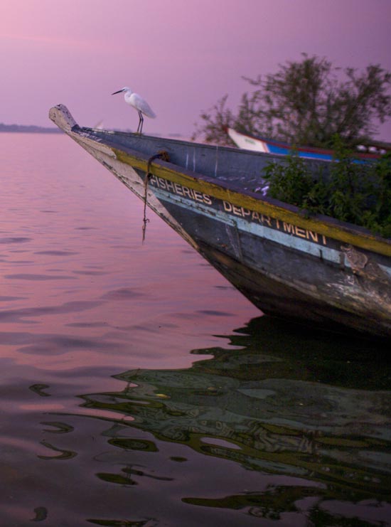 Lake Victoria Fishing