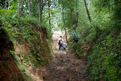Village Path