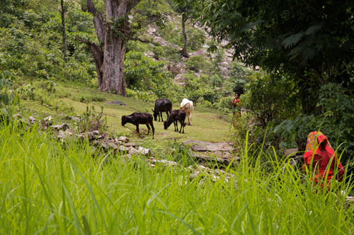 village travel