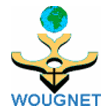 wougnet.gif